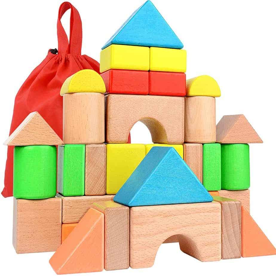 Large Colorful Wooden Block Set 